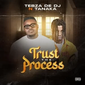 Tebza De DJ & Tanaka – Trust the Process
