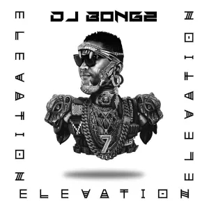 ALBUM: DJ Bongz – Elevation
