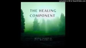 Woza Thobzin – The Healing Component Ft. Malume K
