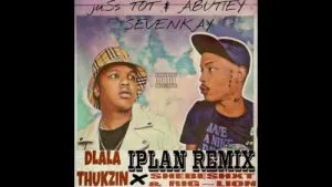 Dlala Thukzin – Iplan (Remix) Shebeshxt
