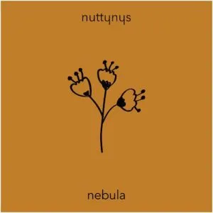 Nutty Nys – Nebula
